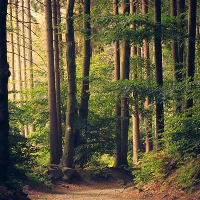 万博体育官方版下载